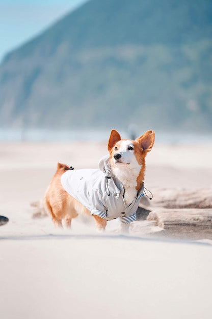 Zip up Dog Raincoats with Reflective Buttons, Pockets, Rain/Water Resistant, Adjustable Drawstring, & Removable Hood - XXS to XXL - Stylish Premium Dog Raincoats (Light Grey, Medium)