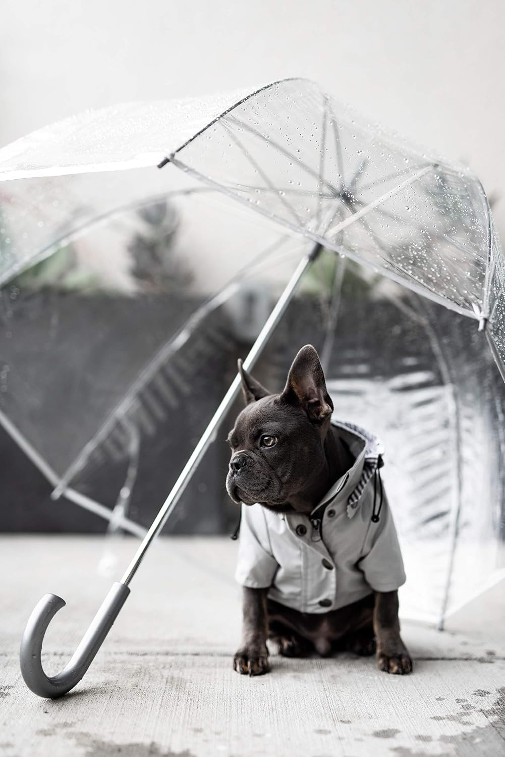 Zip up Dog Raincoats with Reflective Buttons, Pockets, Rain/Water Resistant, Adjustable Drawstring, & Removable Hood - XXS to XXL - Stylish Premium Dog Raincoats (Light Grey, Medium)
